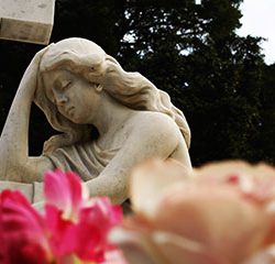 Survival Tips for Grief