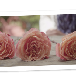 Terry Smith 02/05/2026