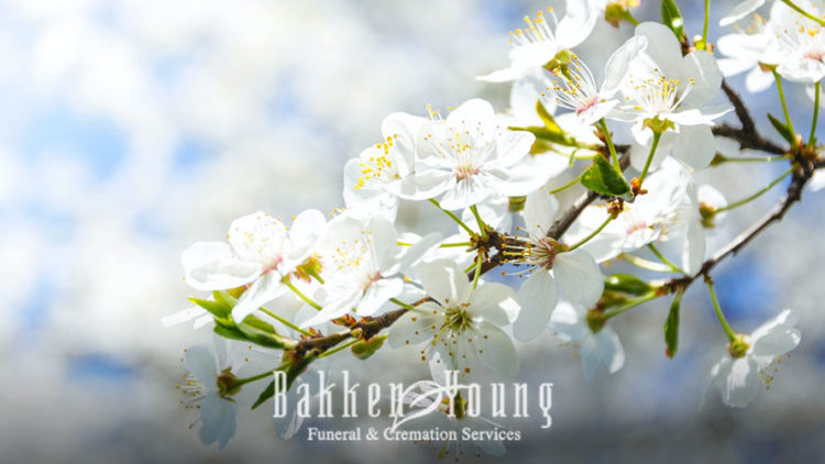 5 Ways Grief and the Seasons are Similar 