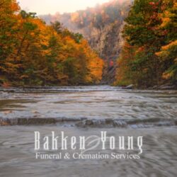 David Ludowese 11/22/2025