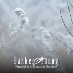 New Year Reflections After Loss