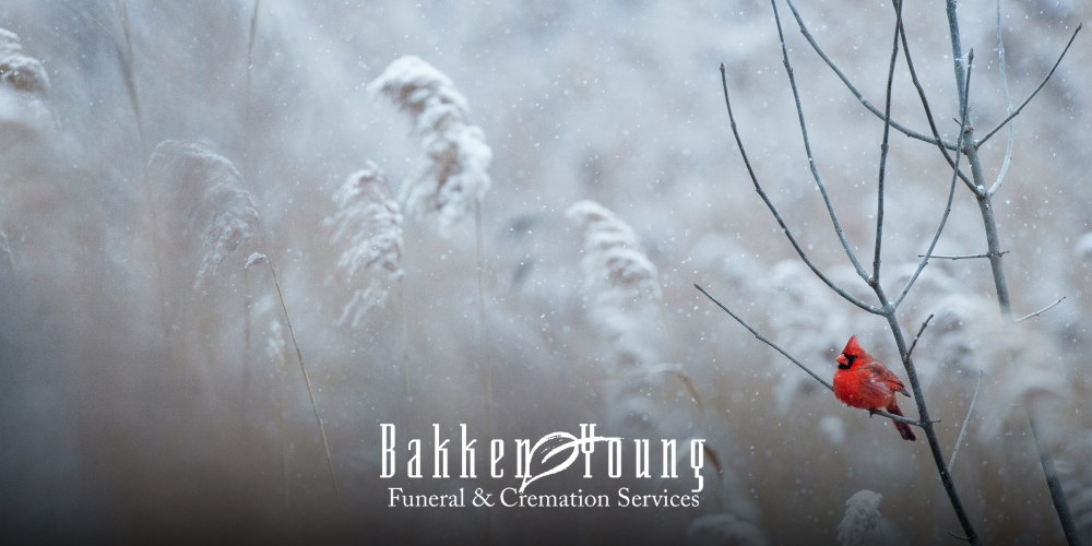 New Year reflections after loss