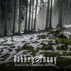 Coping With Loss in Late Winter