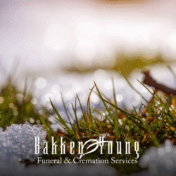 Grief in the Season of Change: Early Spring Reflections