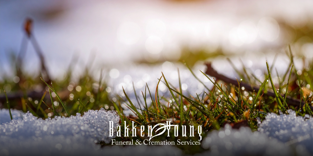 “Early spring plants emerging through melting snow, symbolizing grief in early spring”