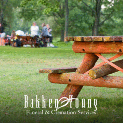 Picnic in the Park: Gentle Community Connection This Summer