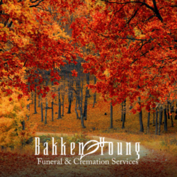 When Fall Brings Up Fresh Grief