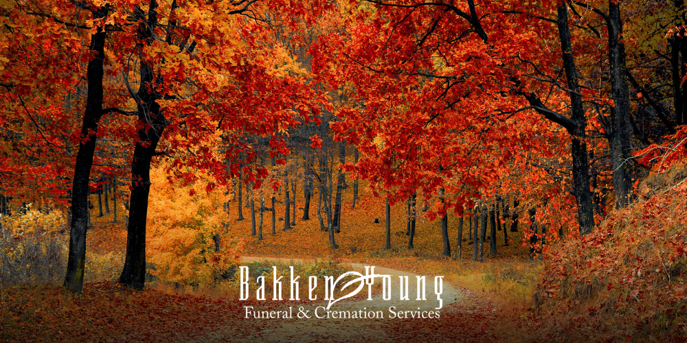 Path through autumn trees with fallen leaves, symbolizing fall bringing up fresh grief