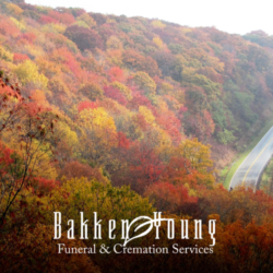 Gentle Fall Activities When You’re Grieving