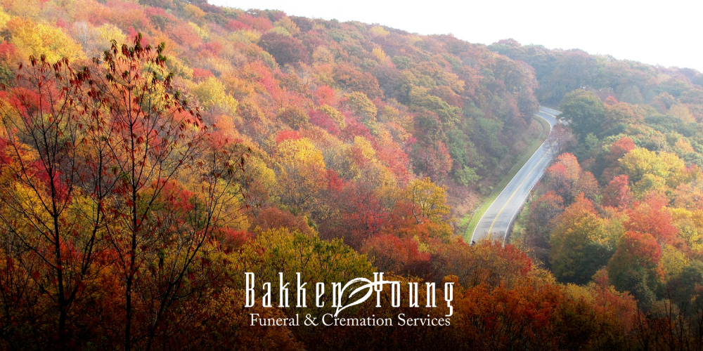 Gentle Fall Activities When You’re Grieving